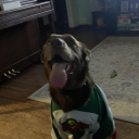 lacey-of-spades avatar