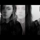 laceytheshark avatar