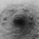 lachatteetlasouris avatar