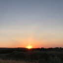 lackingdaisical avatar