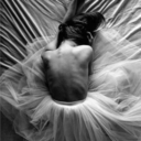 lacrimafragile avatar