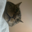 lacroixboix76 avatar