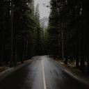 lacrossmdcr1985 avatar