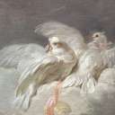 ladiesgarland avatar