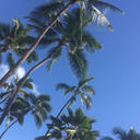 ladiesinlouboutins-blog avatar