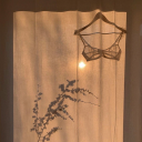 ladiesinnershop avatar