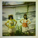 ladiesinscience avatar