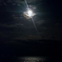 lady-by-the-lake avatar