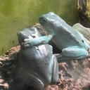 lady-disdain-is-yet-living avatar