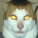 lady-dreamer505 avatar