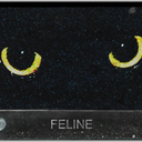 lady-in-leopard avatar