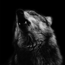 lady-in-world avatar