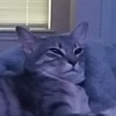 lady-of-florence avatar