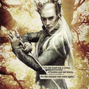 lady-of-mirkwood avatar