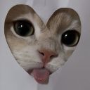 lady-of-the-manor avatar