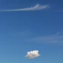 lady-phoenixx avatar