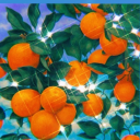 lady-potato-ninja avatar