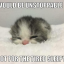 lady-raincloud avatar