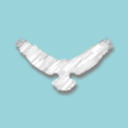 lady-ravnclaw avatar