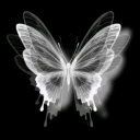 lady-sky-eagle avatar