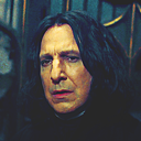 lady-snape-blog-blog avatar