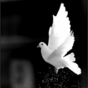 lady-veronica-jones avatar