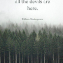 lady-westfall avatar