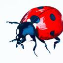 ladybird-with-a-pen avatar