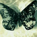 ladyblackbutterfly avatar