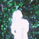 ladybugbaby222 avatar