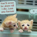 ladybugbitch00 avatar