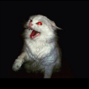 ladybuginhell avatar