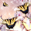 ladybutterfly62 avatar