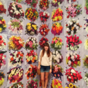 ladyisaknight avatar