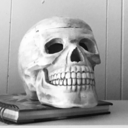 ladykafterdark avatar