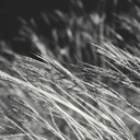 ladylovetarot avatar