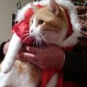 ladymoftheblackpeak avatar