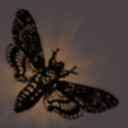 ladymothwing avatar