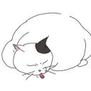 ladyodaskonpeito avatar