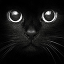 ladyofbubastis avatar