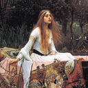 ladyofshalott77 avatar