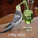 ladyofthegate avatar