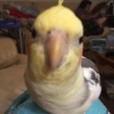 ladyofthelost avatar