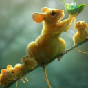 ladyofthestates avatar