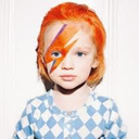 ladys-stardust avatar