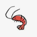 ladyshrimp avatar