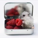 ladyspittingglitter avatar