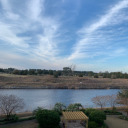 ladystardust16 avatar