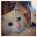 ladystardustarg avatar