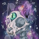 ladytephraofhavoc avatar